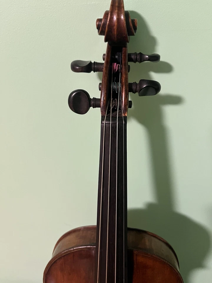 Antonius Heronimus Amati Cremonen Andres 1587 — 第 3/4 张图片