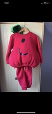 Mr. Ridiculously Good Book Heinz Mr. Men RareKids Full Costume Age 6+