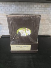 Pack of KVD Leather Bound Photo Album x 2