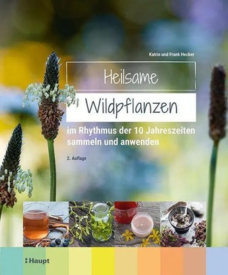 Heilsame Wildpflanzen im Rhythmus der 10 Jahreszeiten sammeln und anwenden Buch