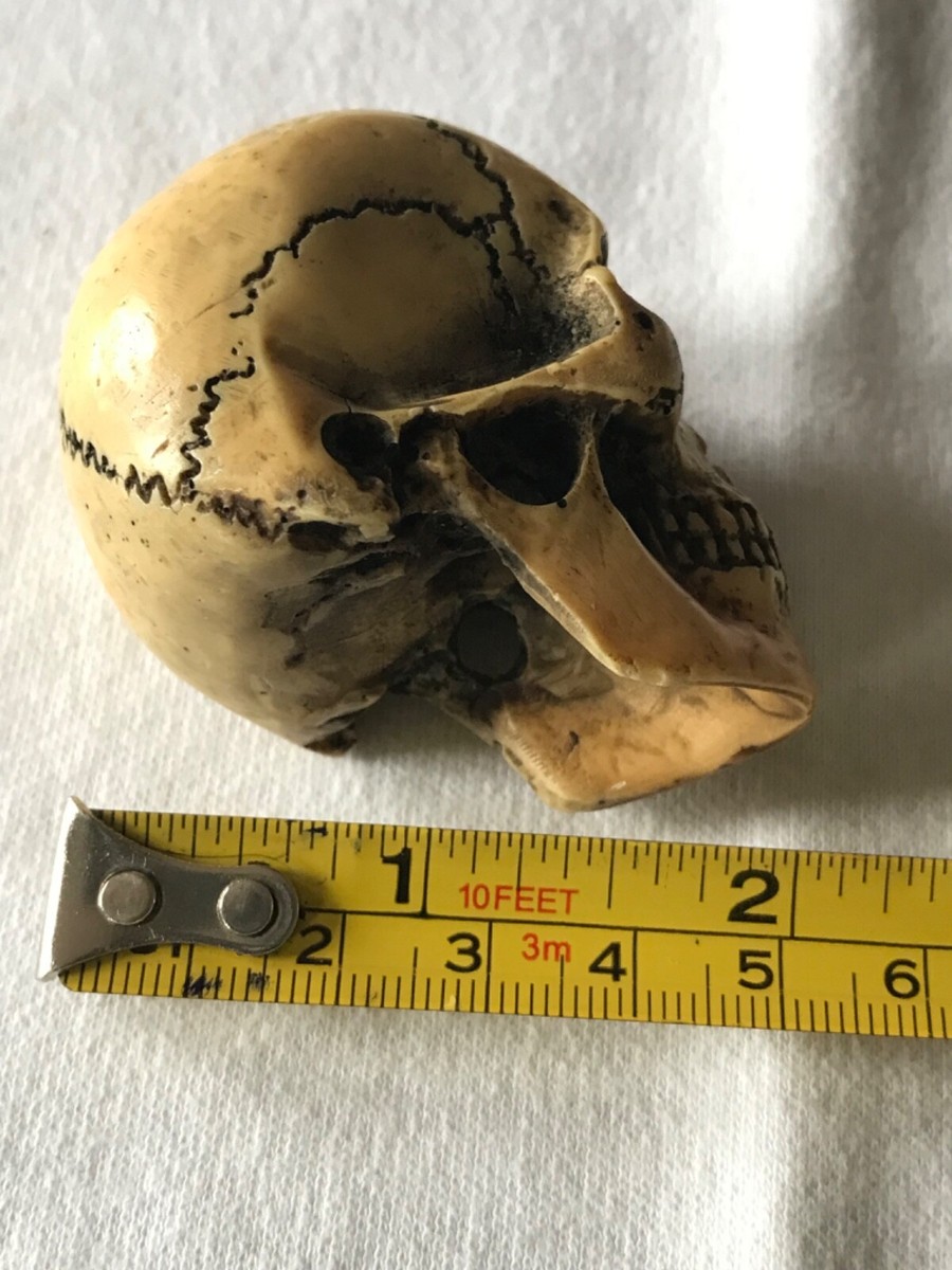 Antique Victorian Memento Mori Skull, hand carved-Super rare | eBay