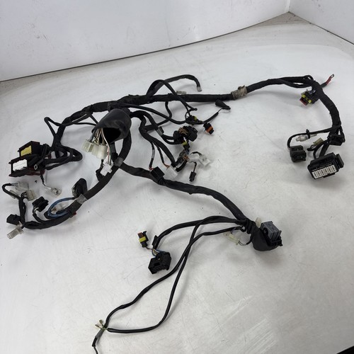 Cablaggio/telaio principale Aprilia Shiver SL750 2013 (non ABS) Pt.n. 895808 #YZ1