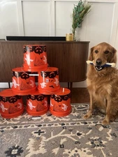 Home Depot Viral Halloween Ghost Bucket – Trick or Treat TikTok 🎃 FREE SHIP NOW