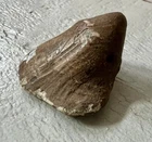 Hard Impact Fired Civil War Bullet Dug Fort Fisher NC Battle