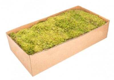 NaDeco Lappenmoos 1kg Natur getrocknet Moosplatten Deko Bastelmoos unbehandelt