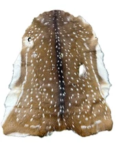 Axis Deer Skin Second Grade Axis Deer Hide Size: 38"X30" Chital deer hide