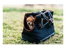 VIBRANT LIFE PET TOTE CARRIER FOR DOGS OR CATS UP TO 16 LBS new