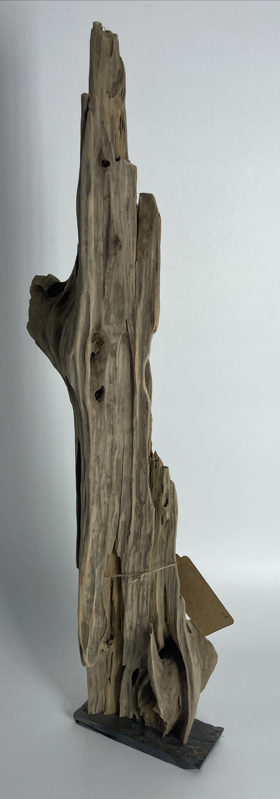 27” Cypress Driftwood Mounted To Slate Unfinished Natural Aquarium