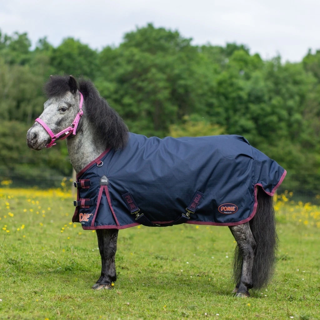 Gallop Ponie 50g Turnout Rug Navy Burgundy Bindings | Waterproof, Lightweight