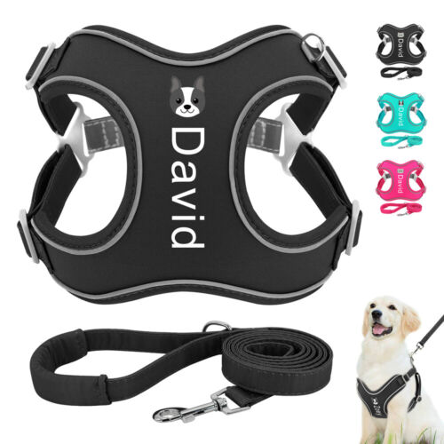 Personalized Dog Harness & Leash Step In Reflective Pet Cat Vest French Bulldog - Picture 1 of 18