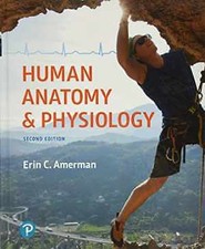 Human Anatomy & Physiology - Hardcover, by Am...