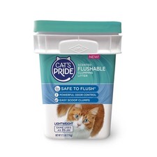 Cat's Pride C01917-C64 Anti-Static Additive Premium Scoopable Cat Litter 22 lbs.