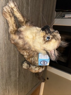 PETSIES FOREVERS Custom Made Plush Cat Lifesize- New -