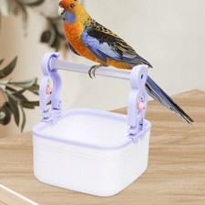 Bird Perch Stand Portable Parrots Poop Stand for Cockatiels Budgie Lovebirds
