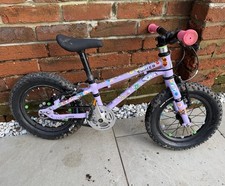 Early Rider Seeker Kids Bike 14-inch Purple With Spoky Doks