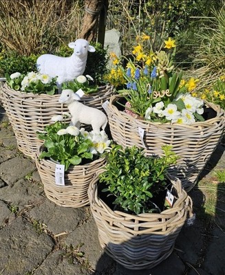4er Set Van der Leeden Drypot Xll/XL& 2S   Blumentopf Pflanztopf Übertopf Rattan