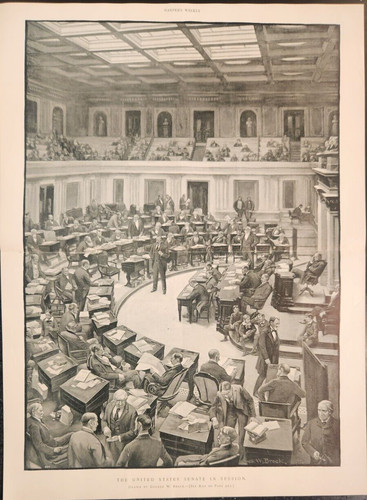 The United States Senate In Session Washington DC Harper's Weekly 1894