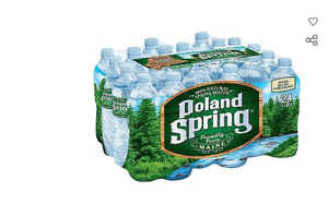 Poland Spring 100% Natural Spring Water, 16.9 Oz., 24 ...