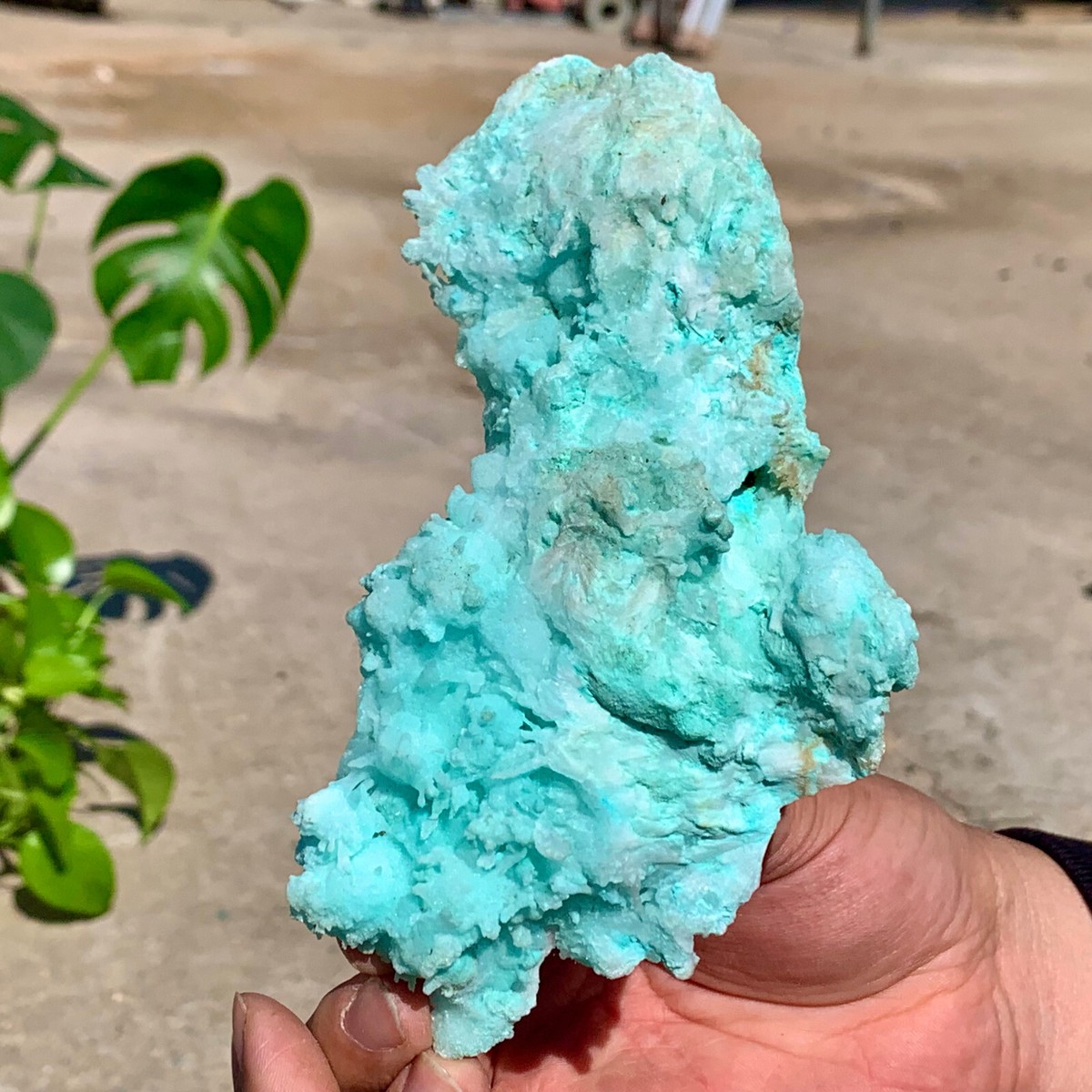 ryo⭐︎天然石 DHgate.com:Natural Aquarium Rocks - Seiryu, Ryuoh, Yamaya