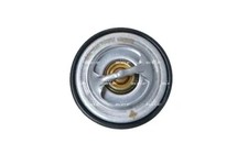 Thermostat Citroen VISA