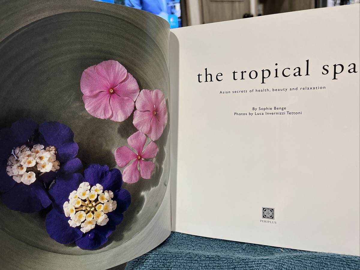 洋書 the tropical spa The Tropical Spa - Hardcover By Benge, Sophie - PreOwned