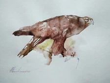Hawk, Birds, Watercolor artwork, Handmade, Original painting on paper