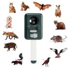 Perel Répulsif ultrason solaire pour extérieur, dispositif anti animaux