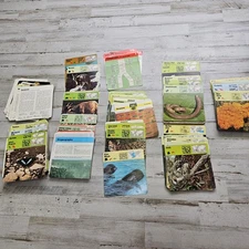 Large Lot VINTAGE Wild Exotic ANIMAL CARDS & Index Cards 1976 Editions Rencontre