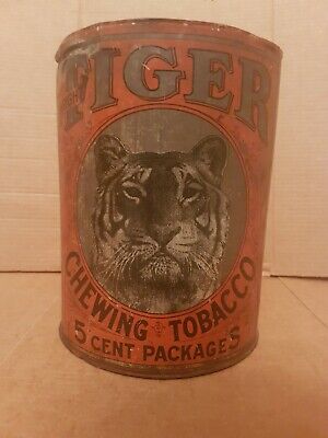 Antique Large Tiger Chewing Tobacco Tin! 5 Cent Packages Antique Large Tiger Chewing Tobacco Tin! 5 Cent Packages