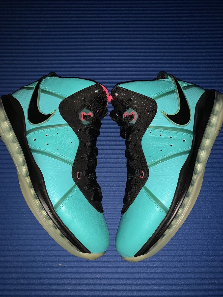 Lebron james shop 16 footlocker