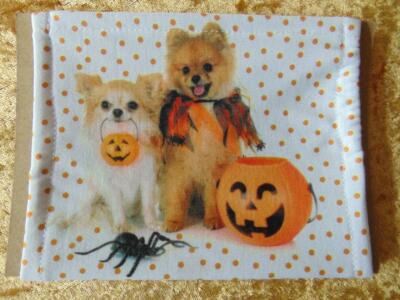 HALLOWEEN DOGS GO TRICK OR TREATING SOFT COTTON KNIT FACE MASK FROM PAWS & PALS