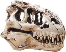 T-Rex Skull Dinosaur Resin Craft Gifts Home Decor Replica Fish Tank Statue B