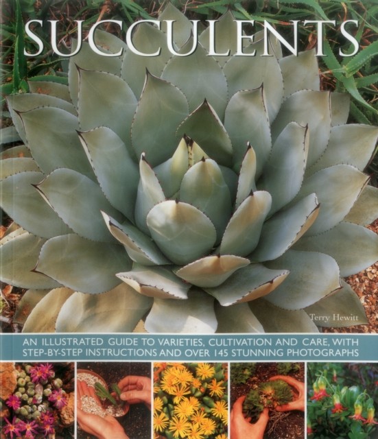 Succulents by Hewitt Terry (Hardback Book)