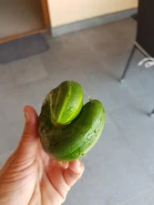 Digital Image Picture Photo Wallpaper Background Beautiful Art # 1009