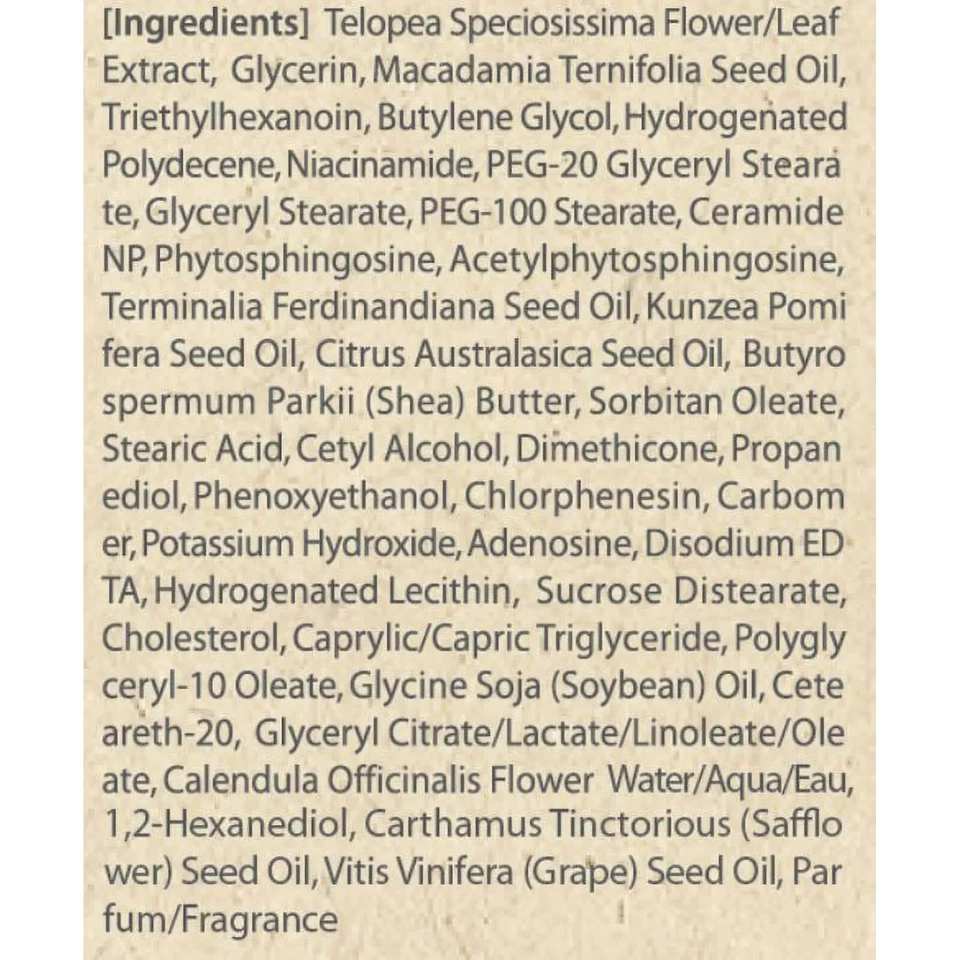 NUEVO The Saem Urban Eco, loción Waratah Essence, 4,73 fl oz (140 ml) antiarrugas Foto 3 de 3