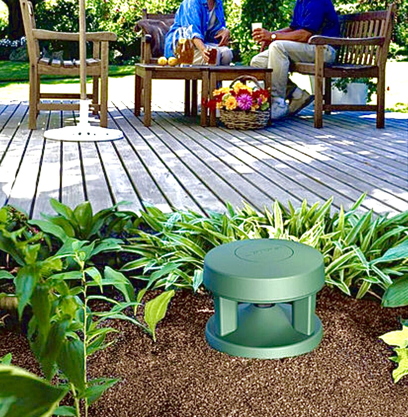 bose freespace 360p price