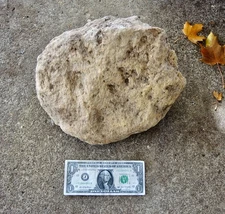 XXL Pumice Stone Volcanic Rock