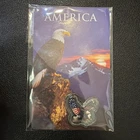 2026 American Bald Eagle Jumbo 1 gram Colorized .999 Silver Shaped TBOXX