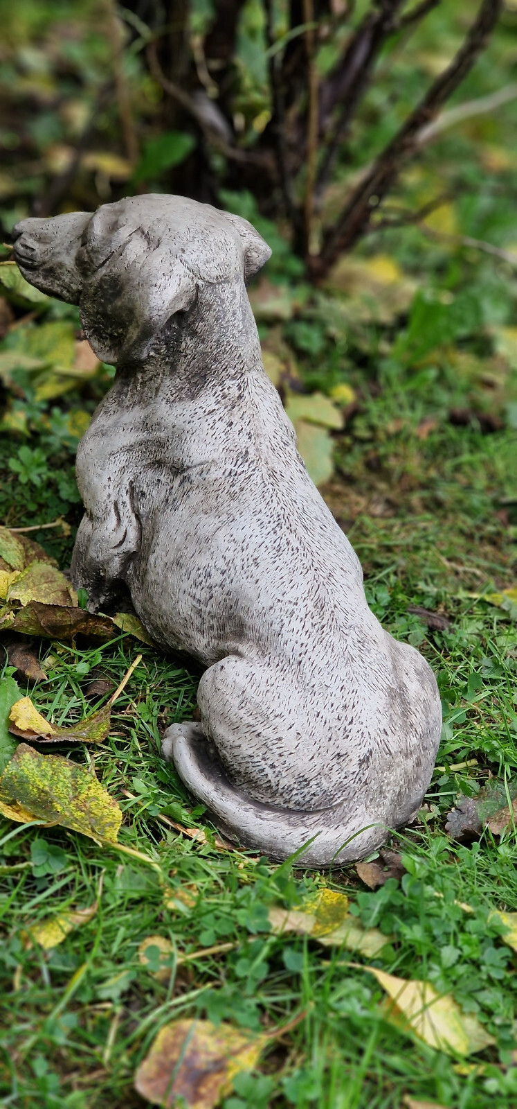 Detailed Dachshund Sausage Dog Garden Ornament Stone Statue Home Decor Cute Gift eBay