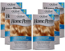 Salon Styles Home Perm the Original - for Color Treated, Normal Hair - 6 Pc
