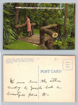 #ad Sarasota Florida Jungle Gardens Jungle Trail Woman on Bridge Vintage Postcard $0.99