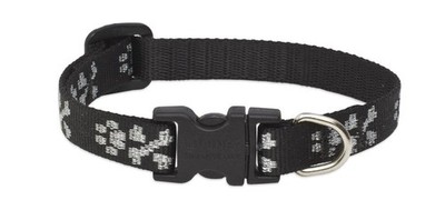 LupinePet Originals 1/2'' Bling Bonz 8-12'' Adjustable Collar for Small Dogs