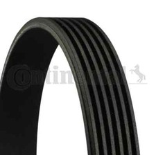 CONTINENTAL CTAM 6PK906 Keilrippenriemen für AUDI,MITSUBISHI,SEAT,SKODA,VW