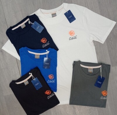 HERREN T SHIRT ALVIERO MARTINI 9,99 