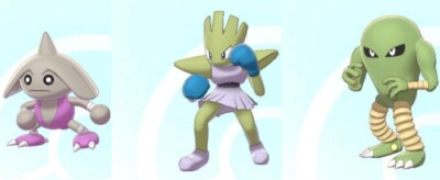 Shiny Kämpfer Bundle (6IV) für Pokemon Schwert und Schild + 3 Meisterbälle