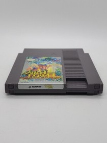 The Adventures of Bayou Billy NES (Nintendo Entertainment System, 1989)
