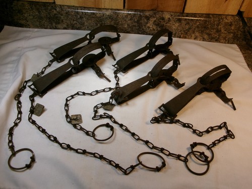 Lot of 5 Vintage Oneida Victor No.1 Single Long Spring Leg Hold Animal Traps
