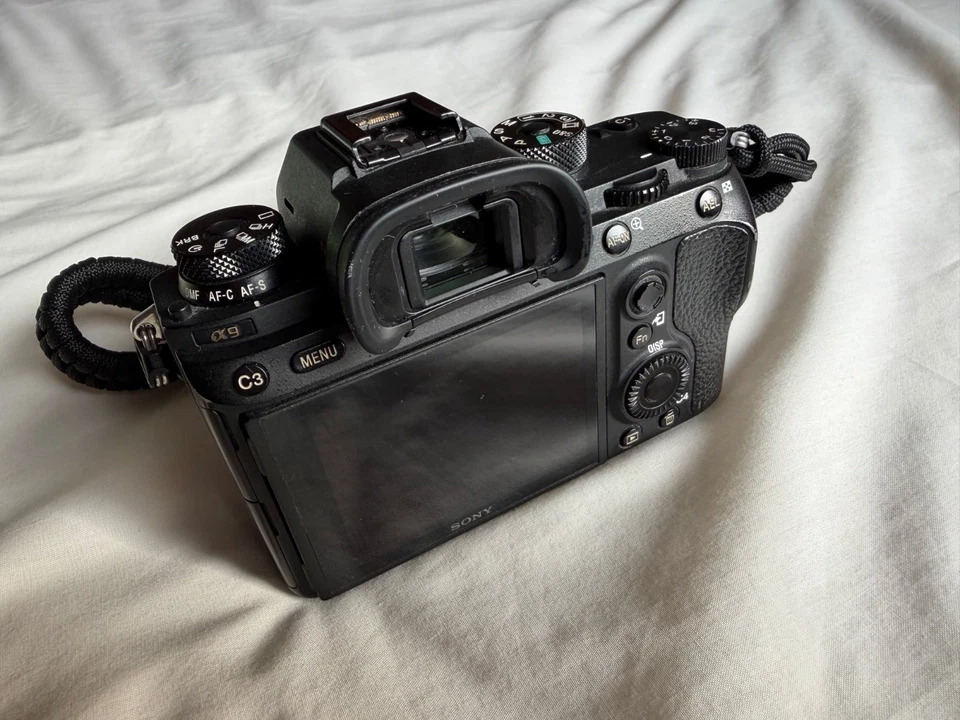 Sony Alpha 9, photo 2 of 5