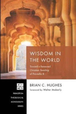 Brian C Hughes Wisdom in the World (Paperback) (UK IMPORT)