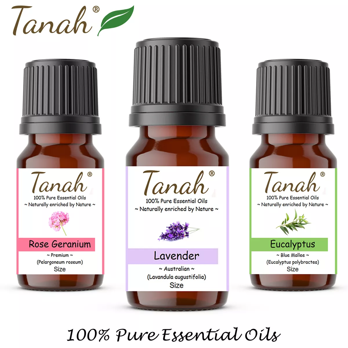 10ml 30ml 100ml Pure Natural Vanilla Essential Oil Diffuser Aroma